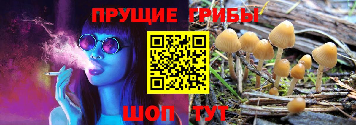 Галлюциногенные грибы GOLDEN TEACHER Кольчугино