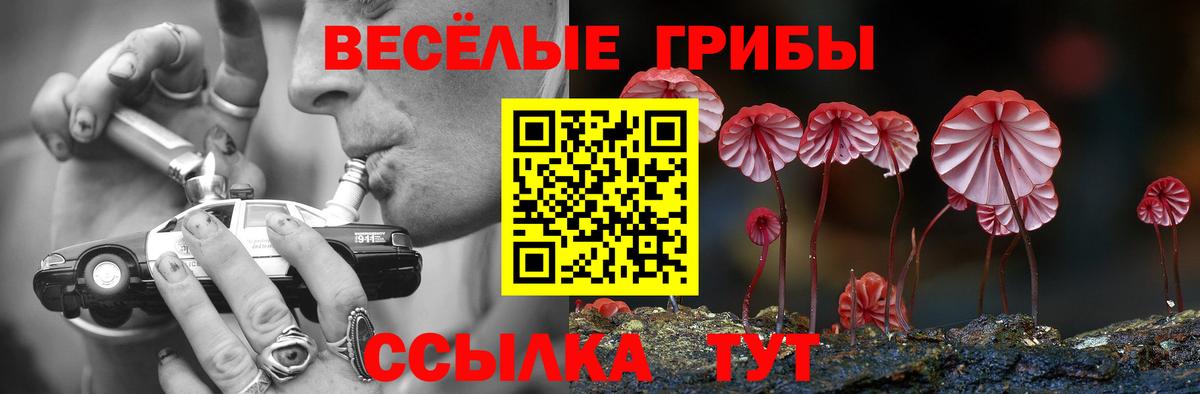 Кольчугино  Галлюциногенные грибы мицелий  Вход с VPN 